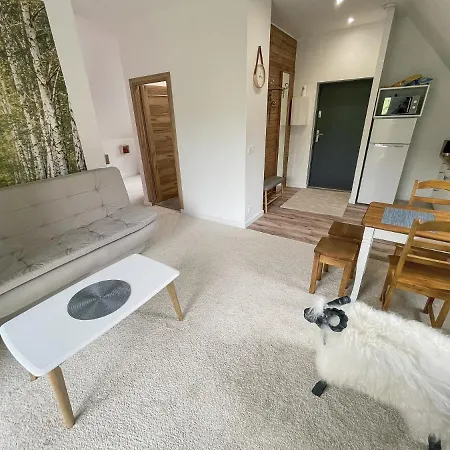 Apartamenty Nad Potokiem Odpocznij U Nas!! Biały Dunajec Exterior foto